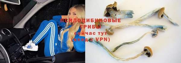 скорость Горно-Алтайск